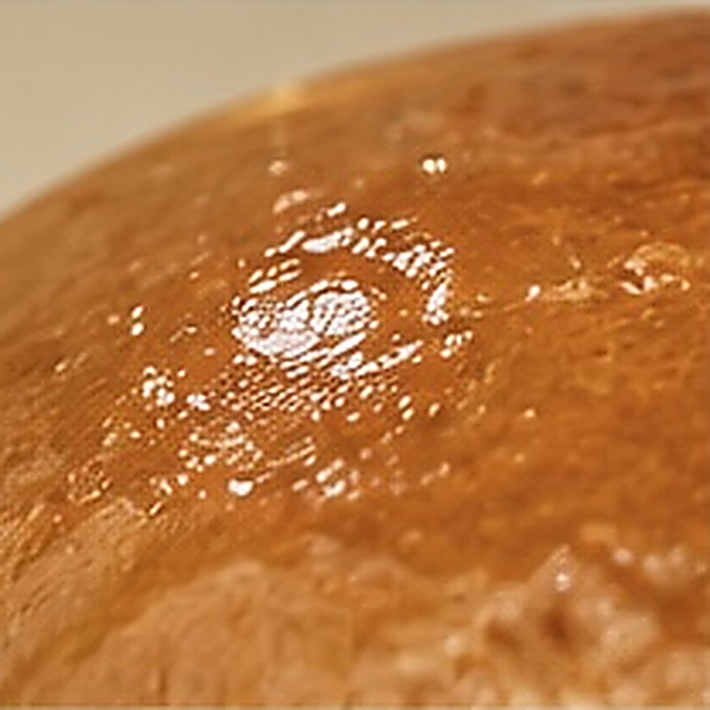 Pan brioche